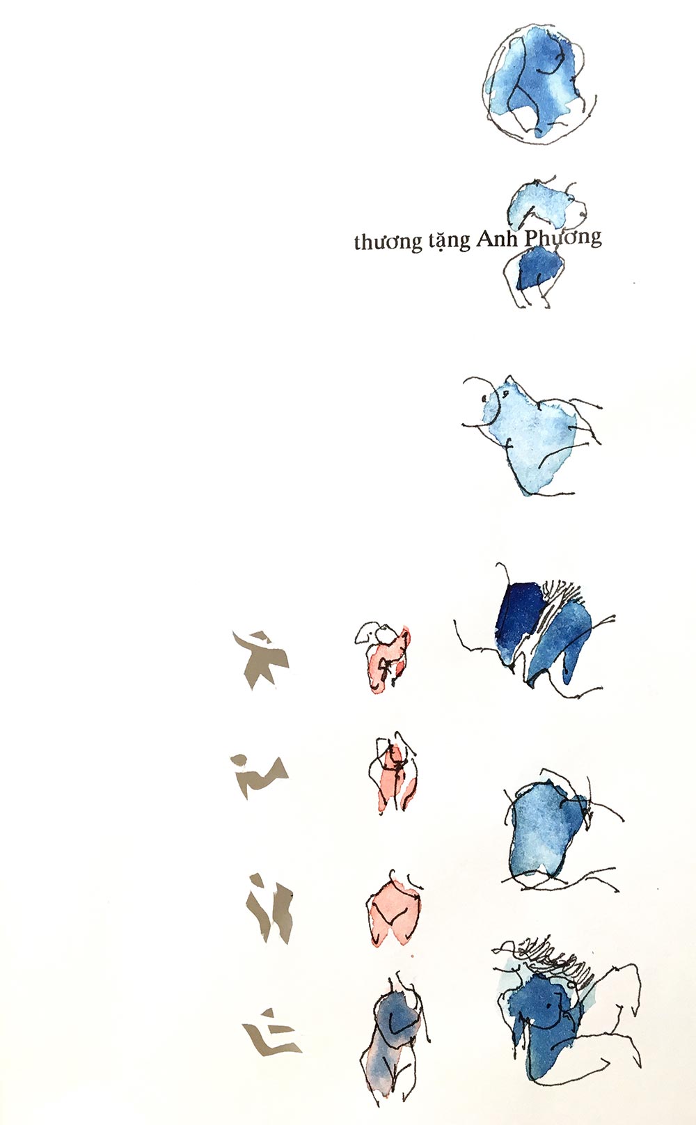 Thương tặng Anh Phương